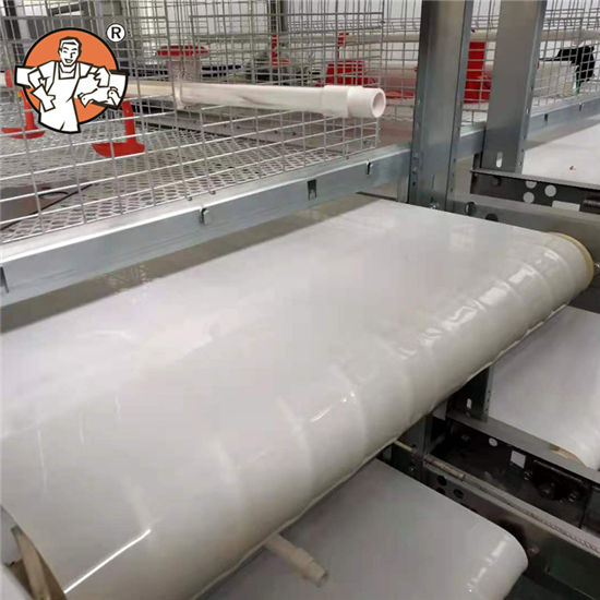 belt chicken cages componets PP manure belt